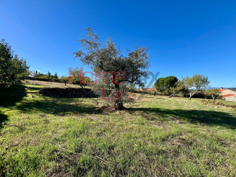 Terreno para Venda em Carviçais Foto 6