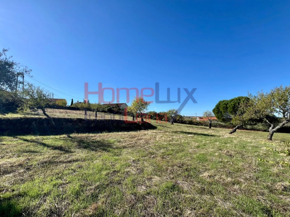 Terreno para Venda em Carviçais Foto 7