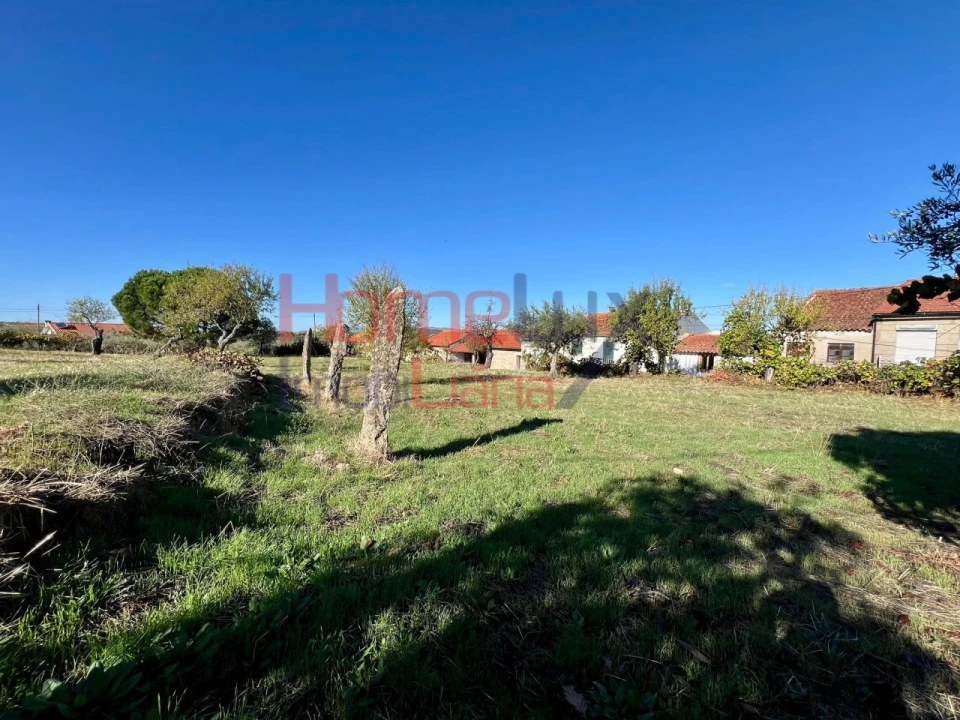Terreno para Venda em Carviçais Foto 8