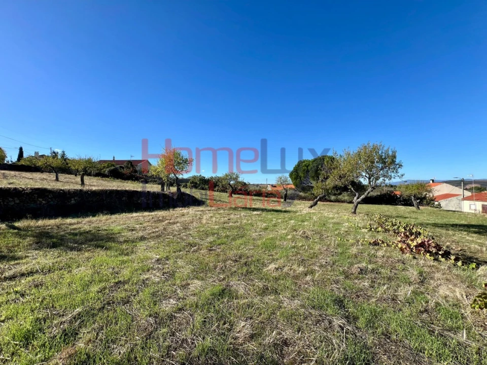 Terreno para Venda em Carviçais Foto 9