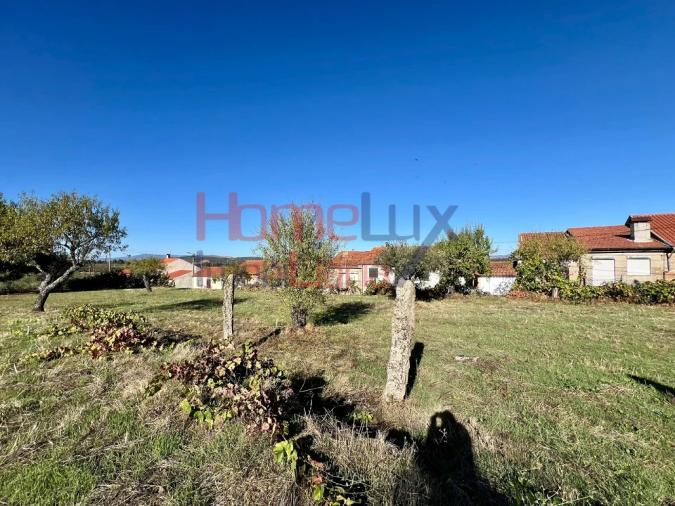 Terreno para Venda em Carviçais Foto 10