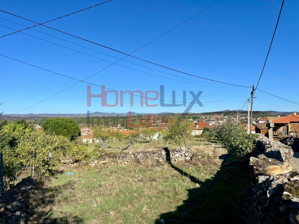 Terreno para Venda em Carviçais Foto 13
