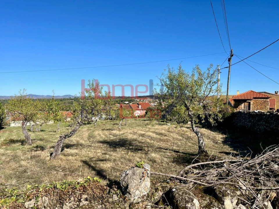 Terreno para Venda em Carviçais Foto 16
