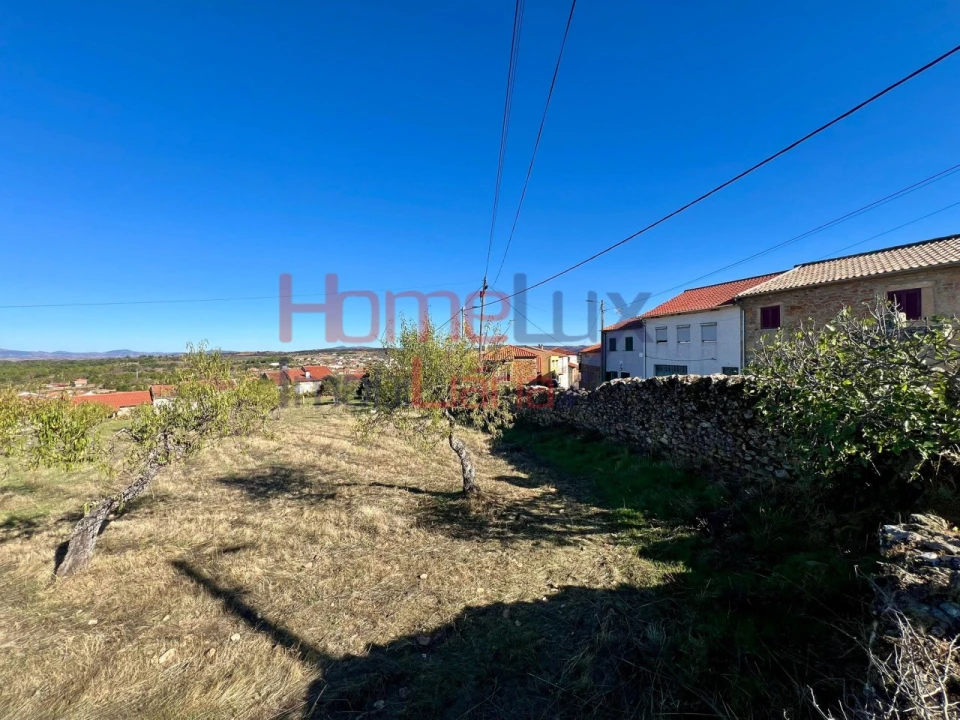 Terreno para Venda em Carviçais Foto 20