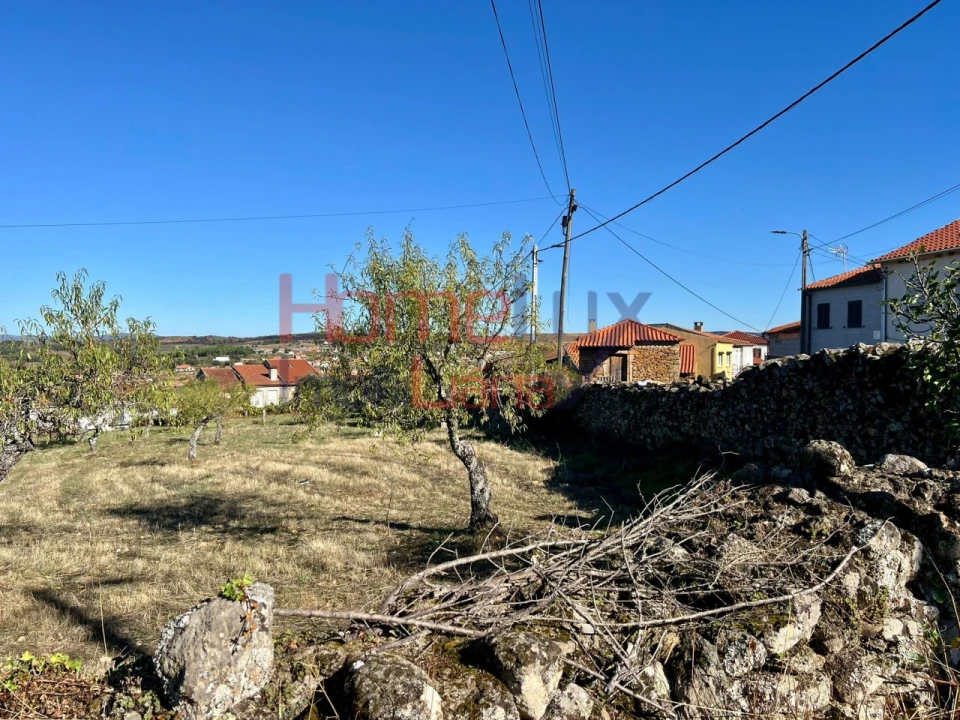 Terreno para Venda em Carviçais Foto 21