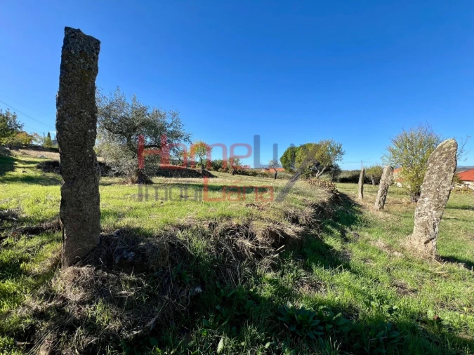 Terreno para Venda em Carviçais Foto 2