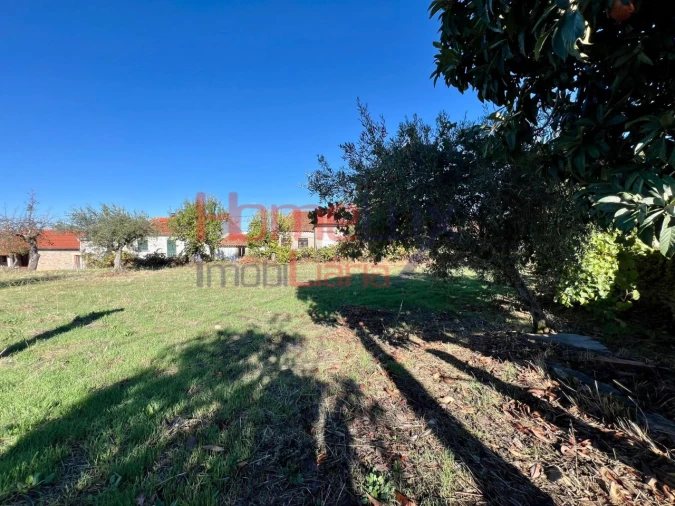 Terreno para Venda em Carviçais Foto 3