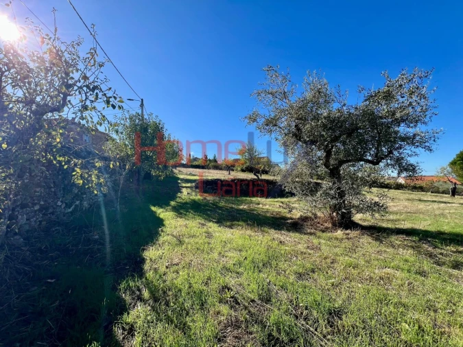 Terreno para Venda em Carviçais Foto 5