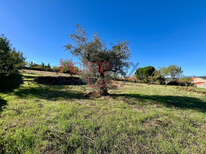 Terreno para Venda em Carviçais Foto 6