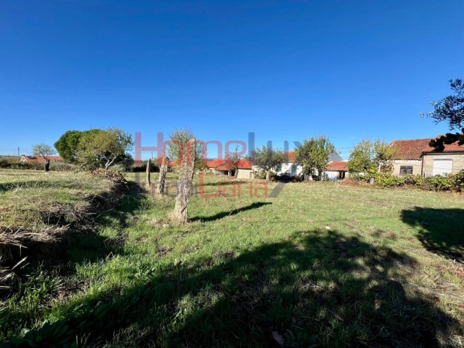 Terreno para Venda em Carviçais Foto 8