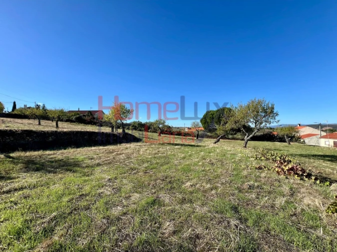 Terreno para Venda em Carviçais Foto 9