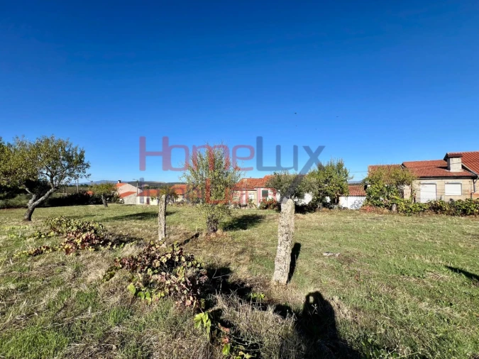 Terreno para Venda em Carviçais Foto 10