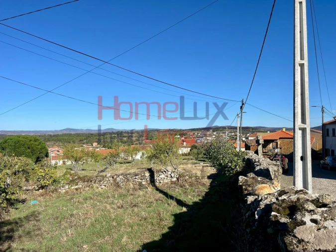 Terreno para Venda em Carviçais Foto 14