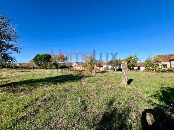 Terreno para Venda em Carviçais Foto 15