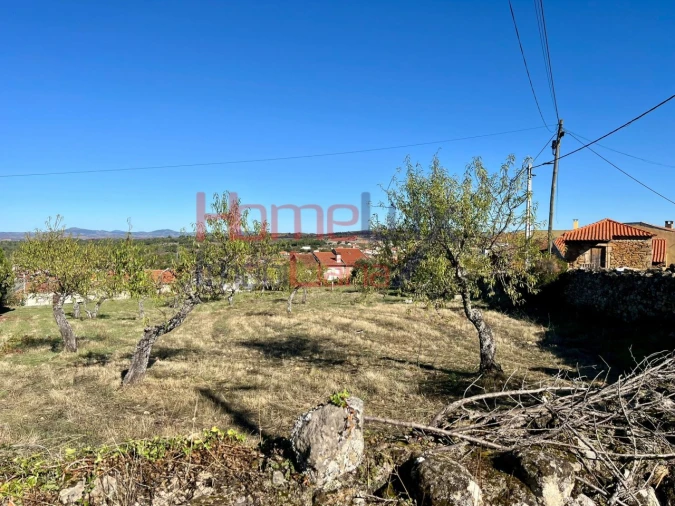 Terreno para Venda em Carviçais Foto 16