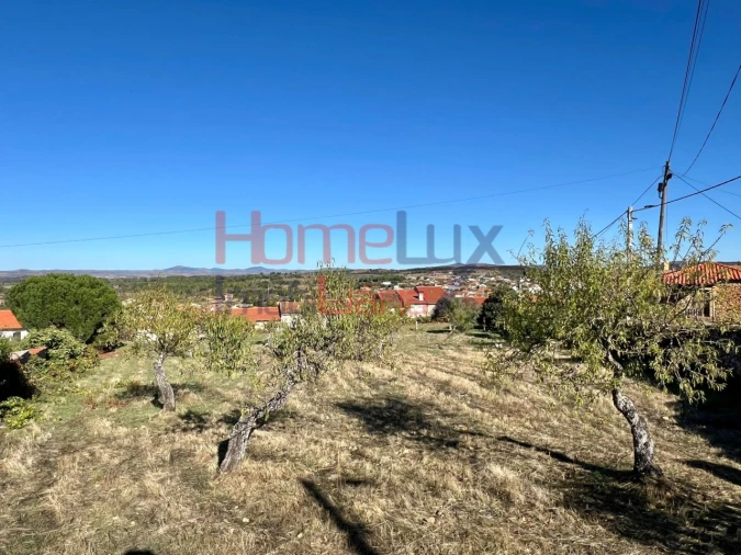 Terreno para Venda em Carviçais Foto 18