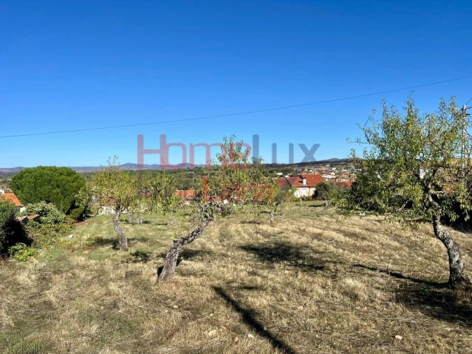 Terreno para Venda em Carviçais Foto 19