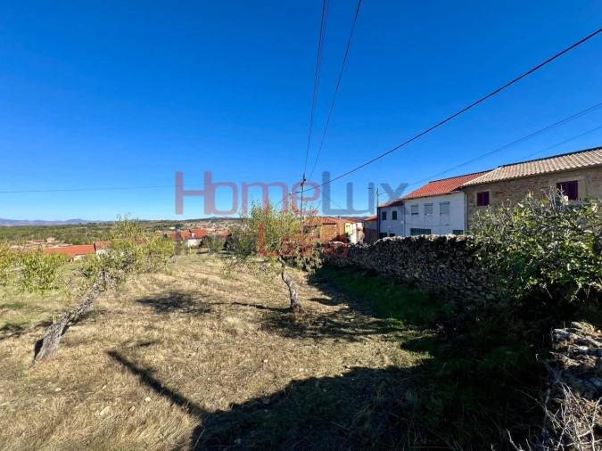 Terreno para Venda em Carviçais Foto 20