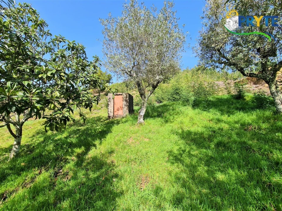 Moradia T4 para Venda em Alvares Foto 60