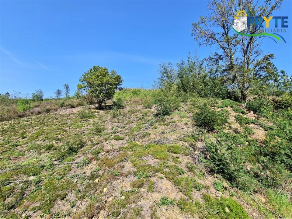 Moradia T4 para Venda em Alvares Foto 61