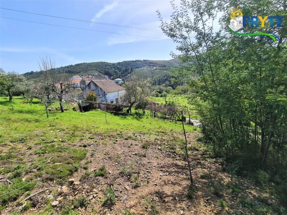 Moradia T4 para Venda em Alvares Foto 63