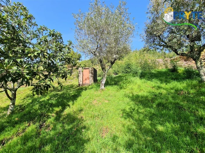 Moradia T4 para Venda em Alvares Foto 60