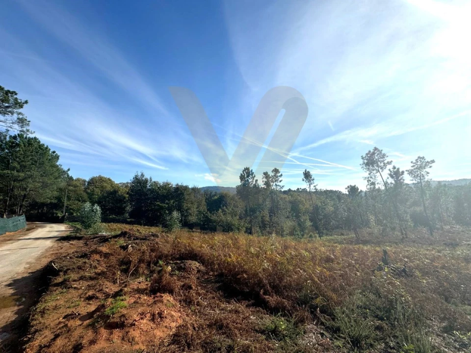 Terreno para Venda em Rebordões (Souto) Foto 2
