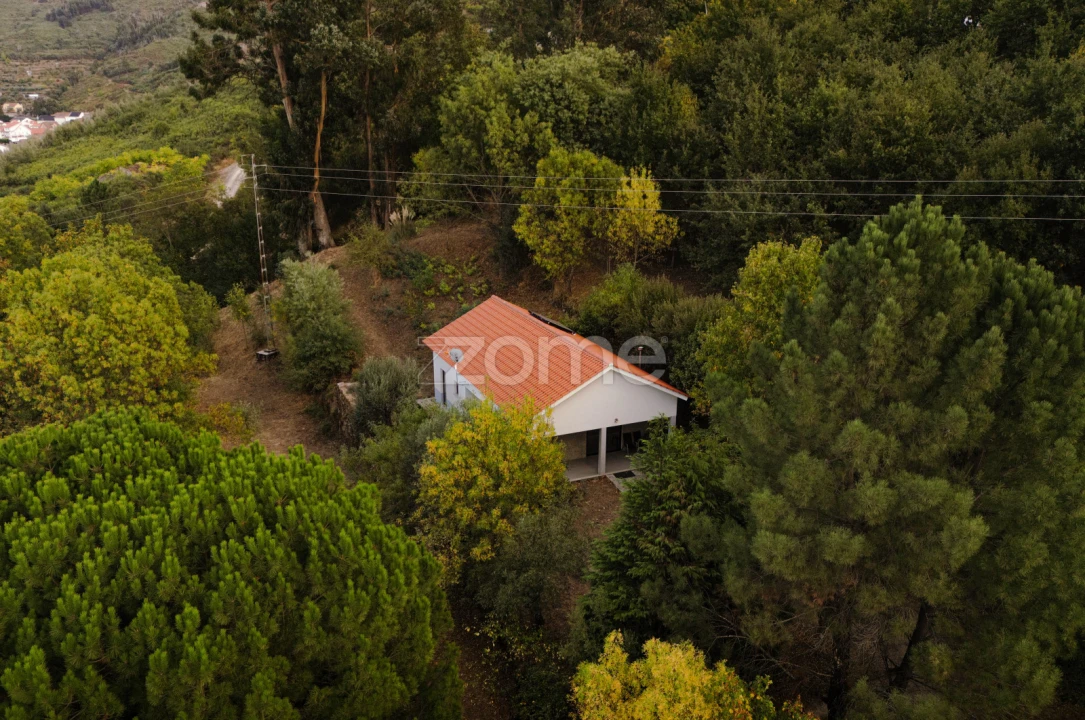 Quinta T12 para Venda em Gouveia (São Pedro e São Julião) Foto 29