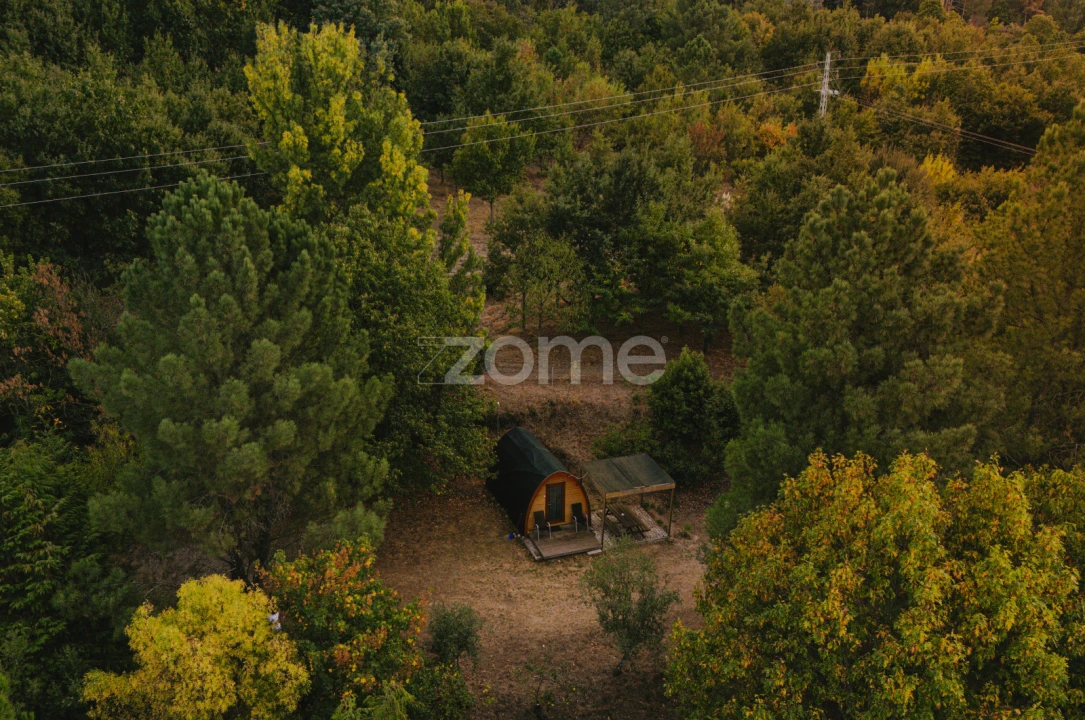 Quinta T12 para Venda em Gouveia (São Pedro e São Julião) Foto 36