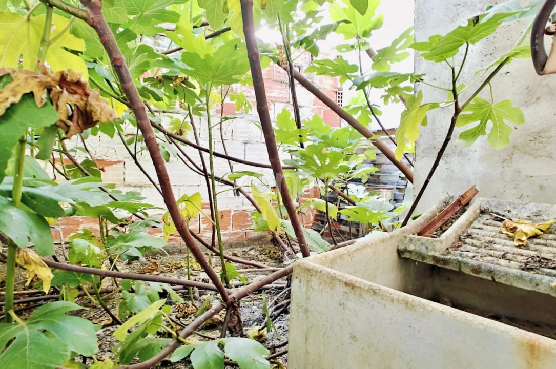Terreno Comércio / Armazém para Venda em Armação de Pera Foto 9
