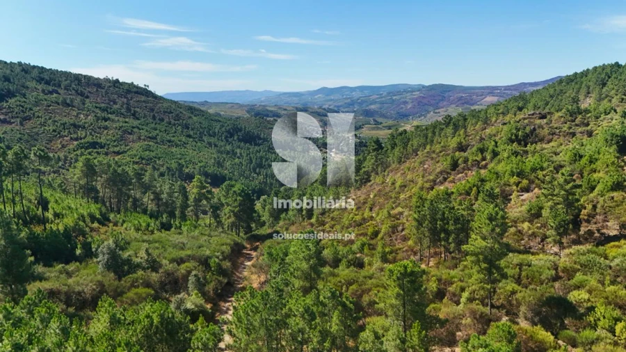 Terreno para Venda em Vilar de Maçada Foto 3