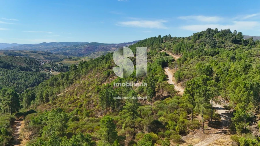 Terreno para Venda em Vilar de Maçada Foto 5