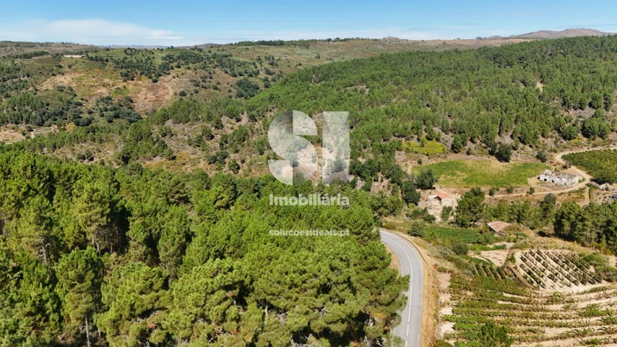 Terreno para Venda em Vilar de Maçada Foto 6