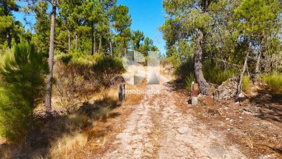 Terreno para Venda em Vilar de Maçada Foto 1