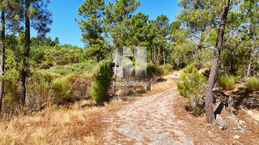 Terreno para Venda em Vilar de Maçada Foto 2