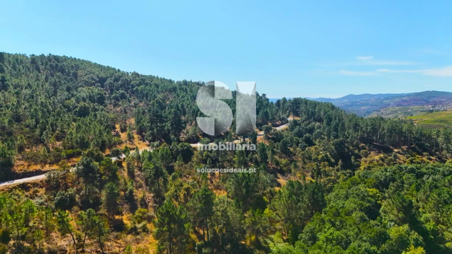 Terreno para Venda em Vilar de Maçada Foto 14