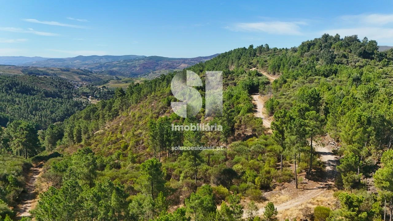 Terreno para Venda em Vilar de Maçada Foto 4