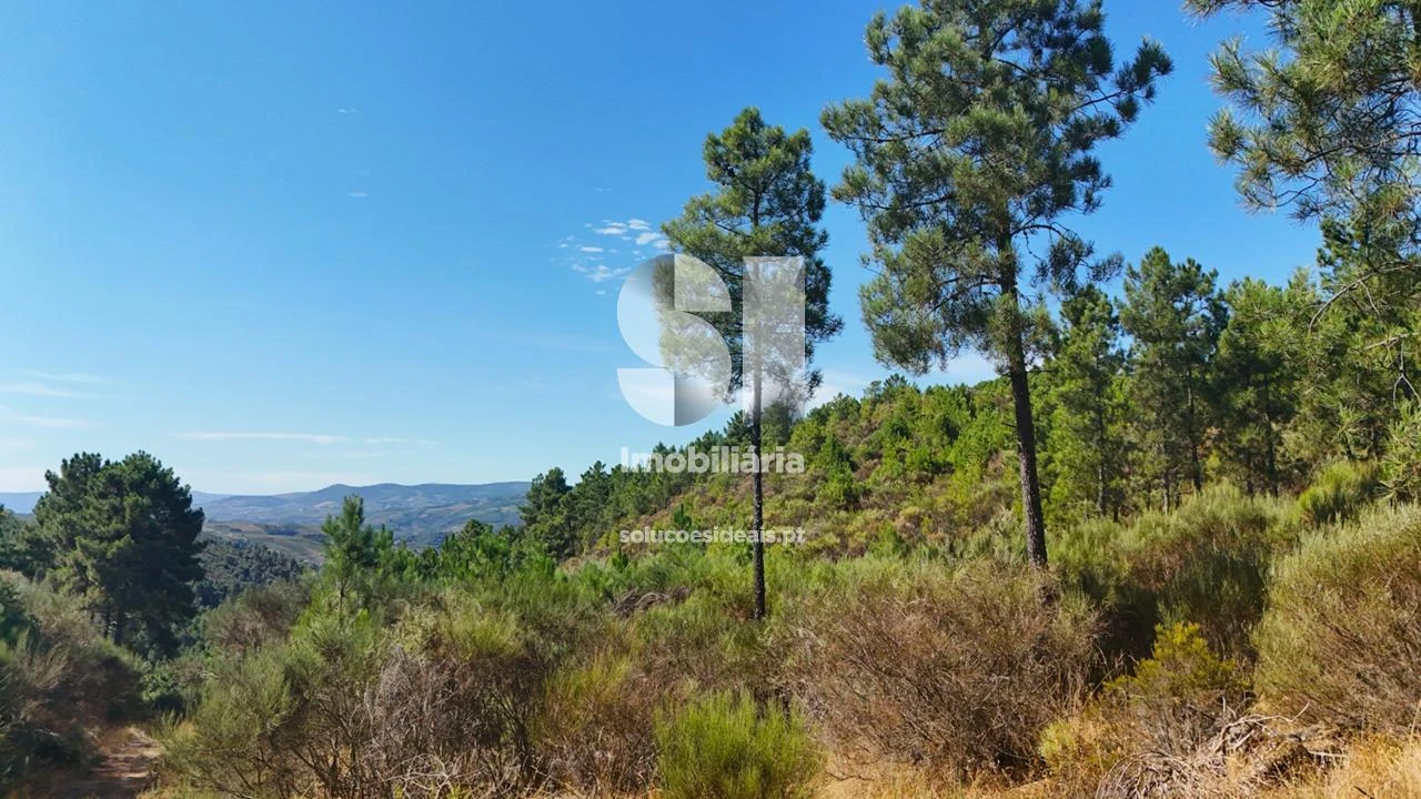 Terreno para Venda em Vilar de Maçada Foto 7
