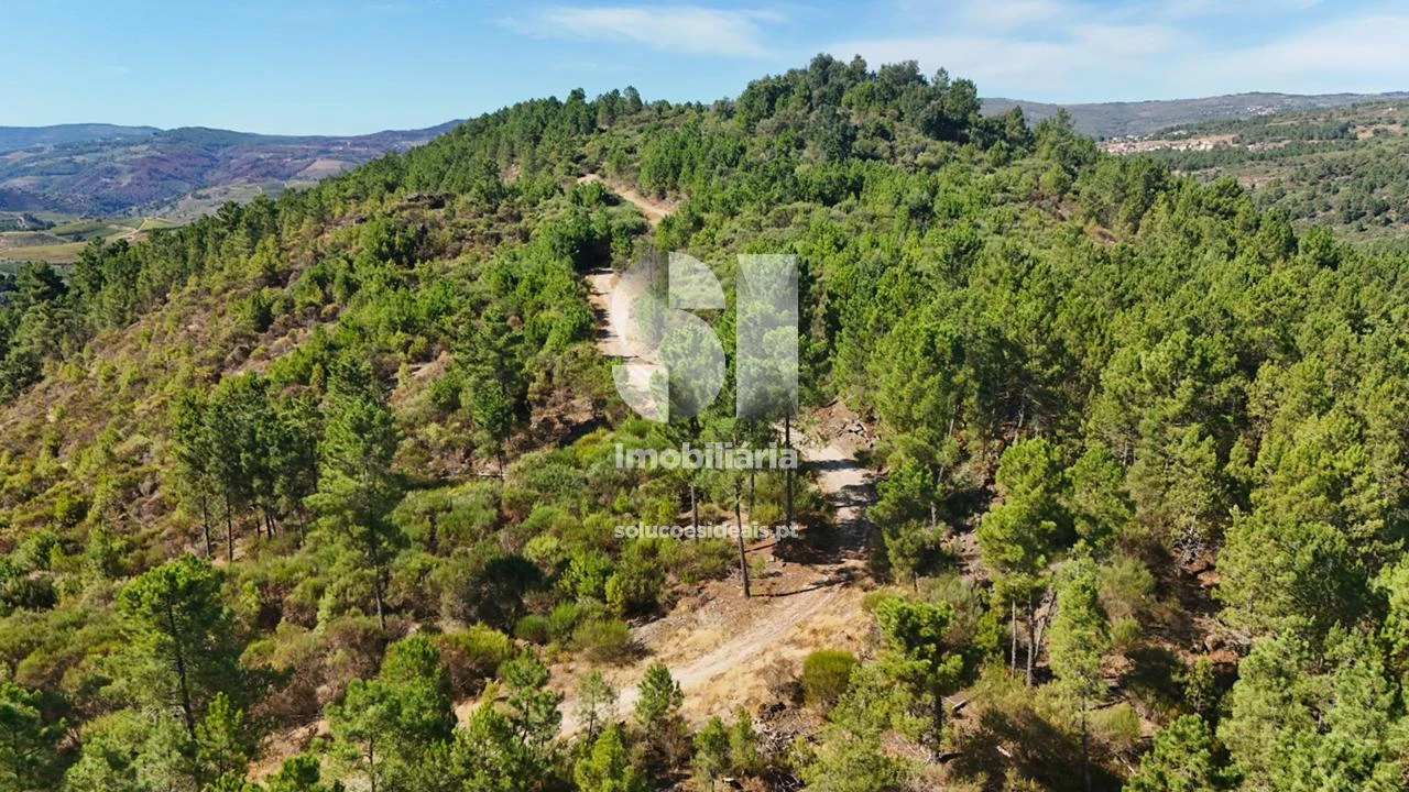 Terreno para Venda em Vilar de Maçada Foto 16