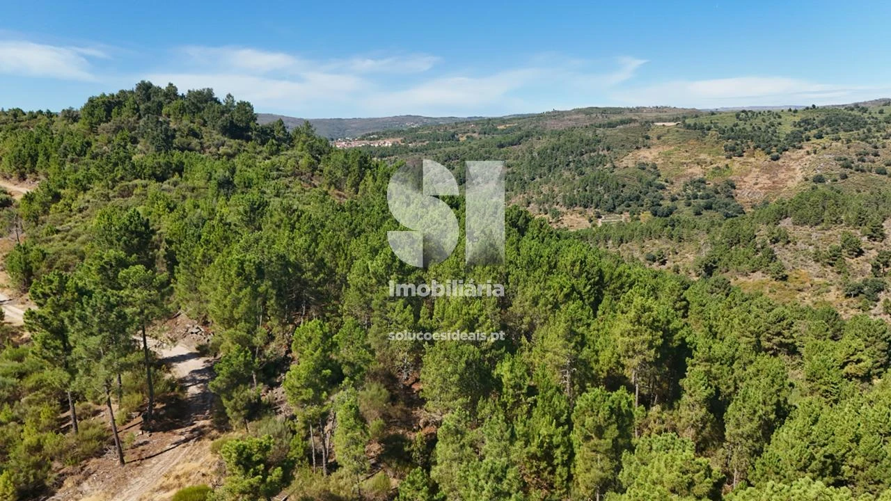 Terreno para Venda em Vilar de Maçada Foto 17
