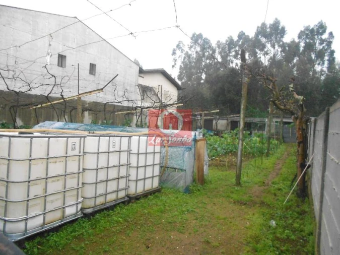 Terreno para Venda em Aveleda Foto 2