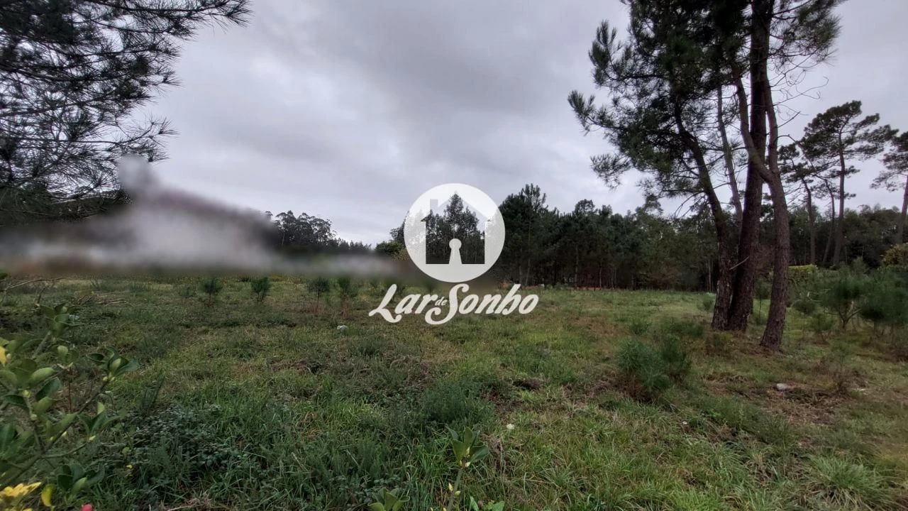 Terreno para Venda em Modivas Foto 4