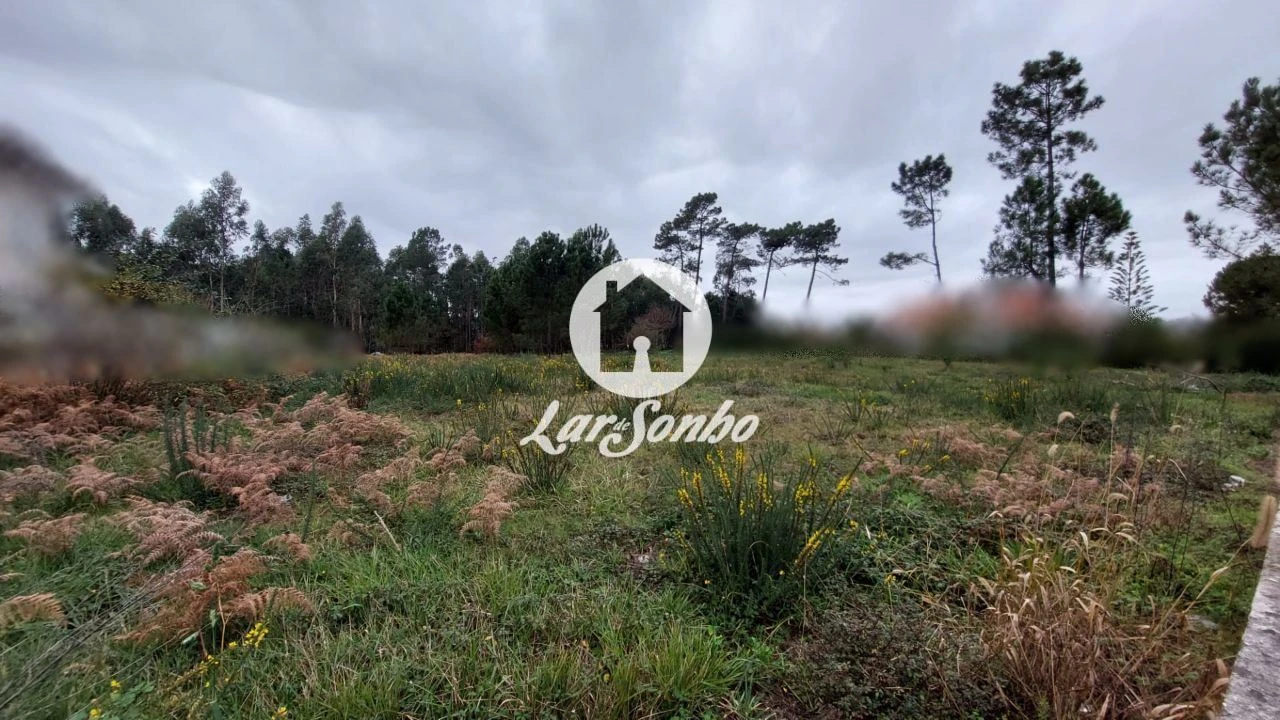 Terreno para Venda em Modivas Foto 5