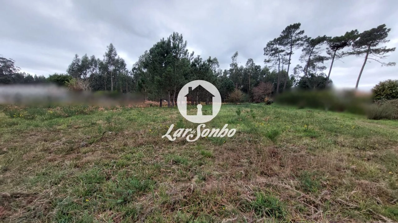 Terreno para Venda em Modivas Foto 6