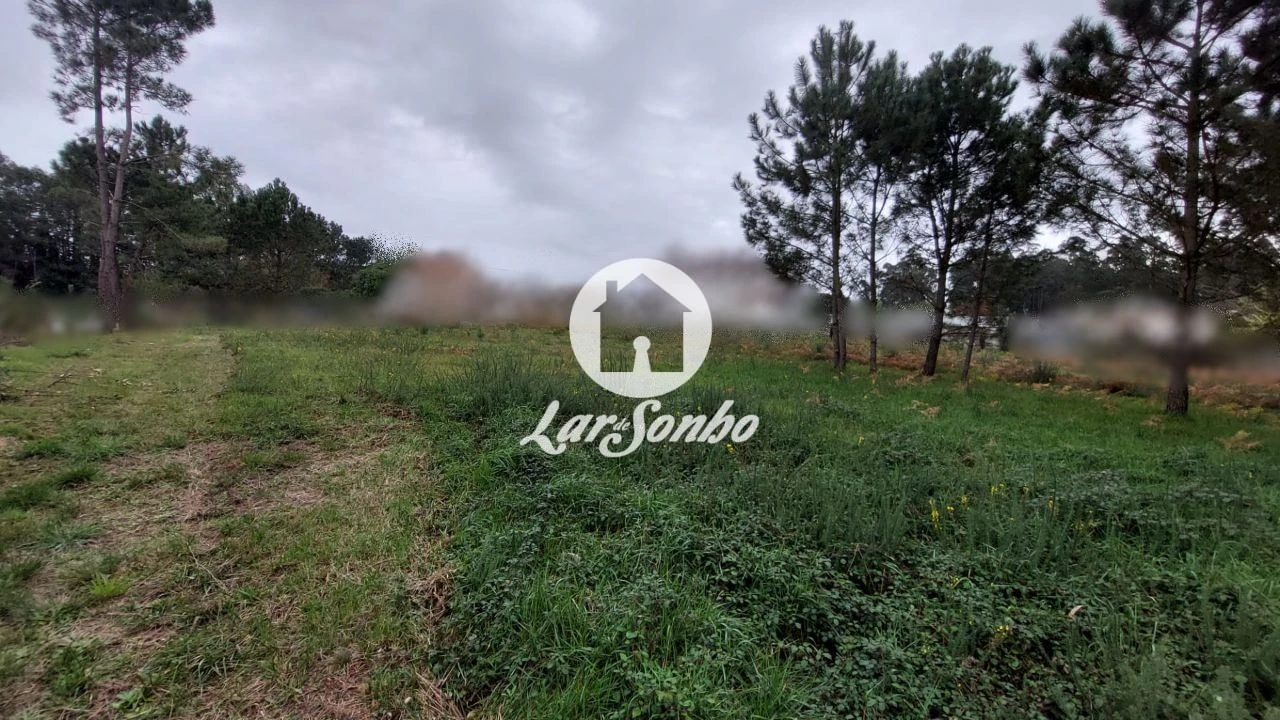 Terreno para Venda em Modivas Foto 7