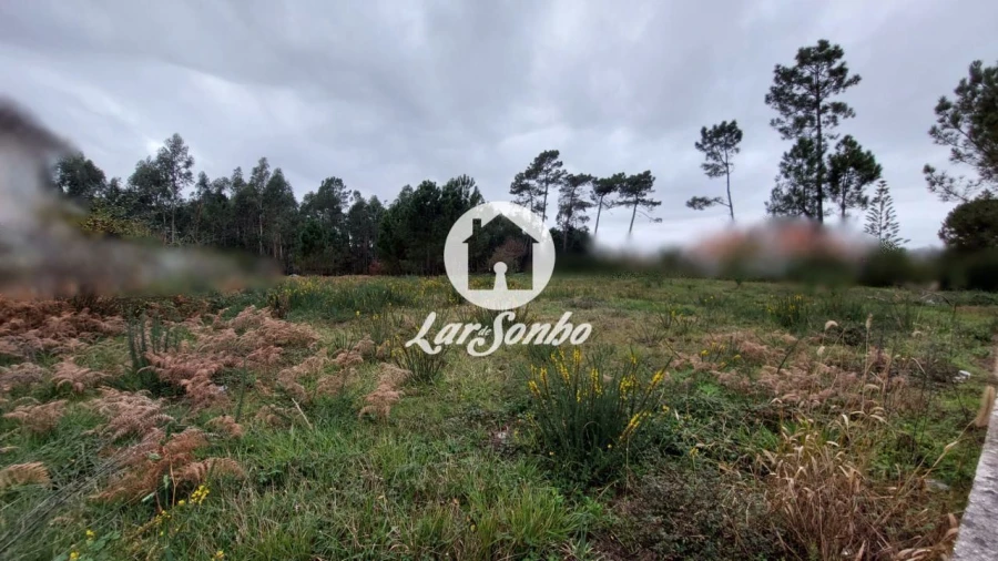 Terreno para Venda em Modivas Foto 5