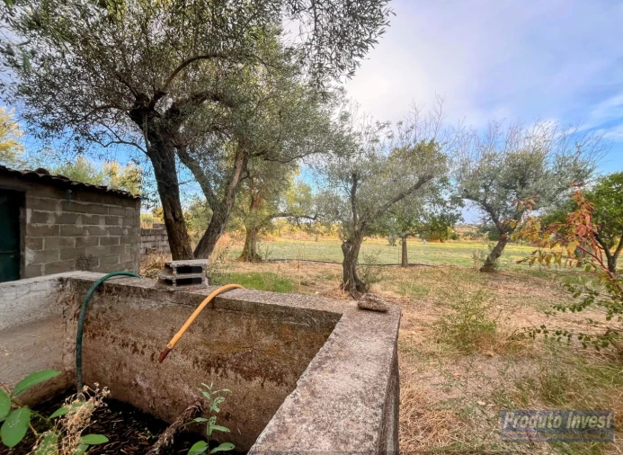 Quinta T0 para Venda em Soalheira Foto 7