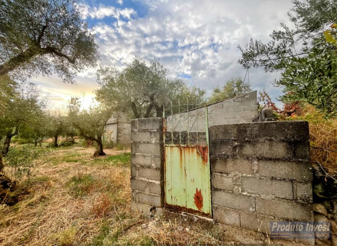 Quinta T0 para Venda em Soalheira Foto 5