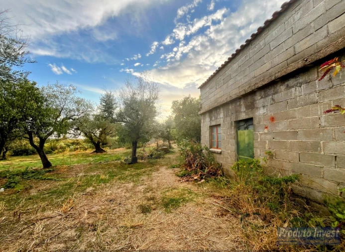 Quinta T0 para Venda em Soalheira Foto 2