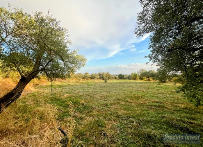 Quinta T0 para Venda em Soalheira Foto 8